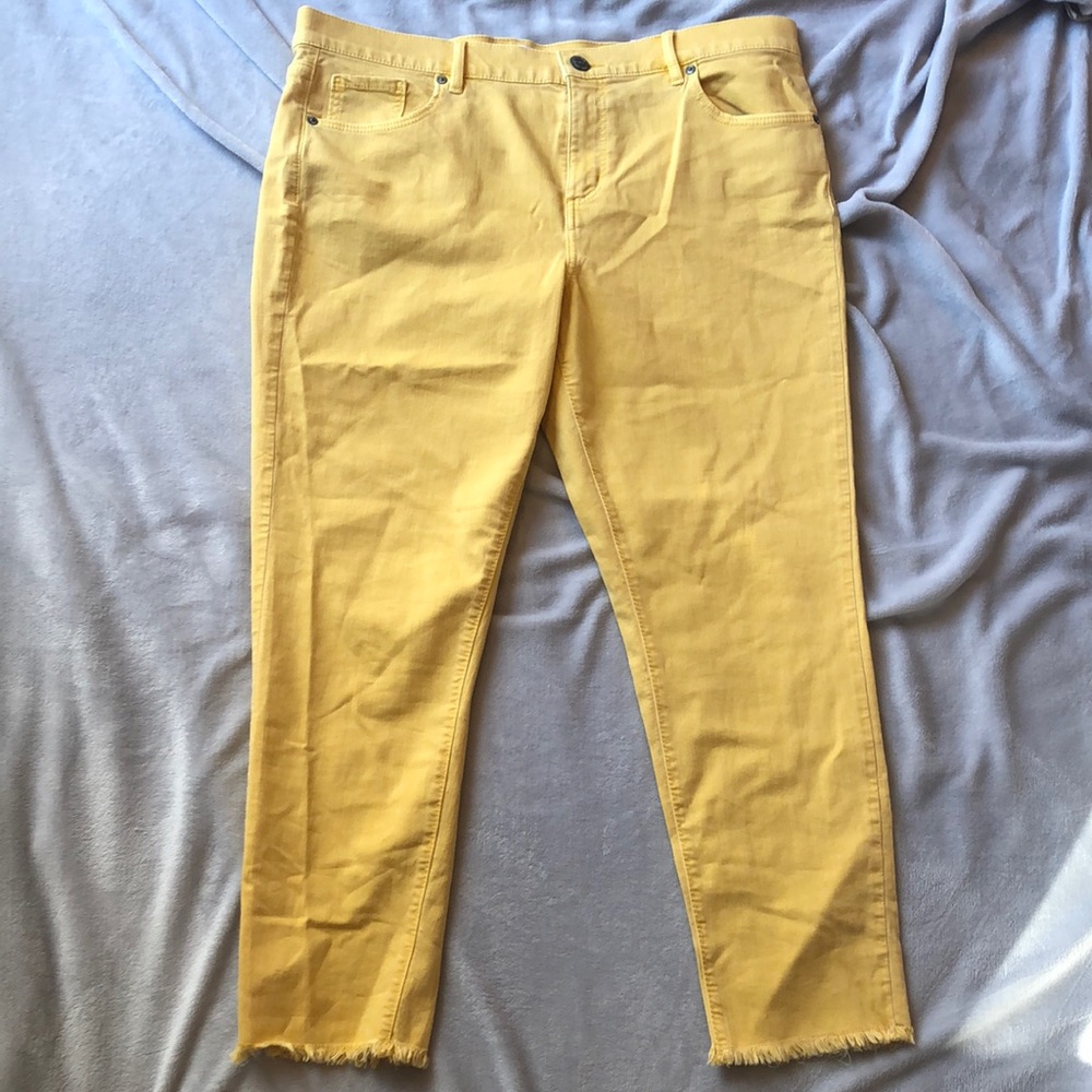 NWT Loft Modern Skinny Crop Size 14/32